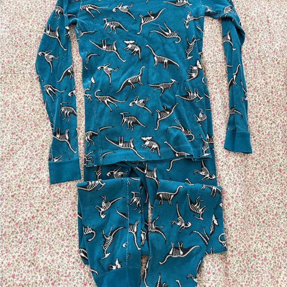 Hannah Anderson Dinosaur Long Pajamas size 12 150